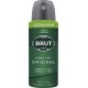 BRUT Original 2x100ml 2 bombes 100ml