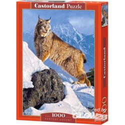 Castorland Puzzle Oyster Ascent, puzzle 1000 pièces