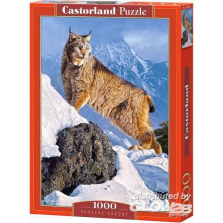 Castorland Puzzle Oyster Ascent, puzzle 1000 pièces