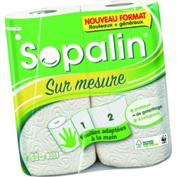 Sopalin Essuie-Tout The Big One x1 