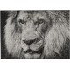 Paris Prix Puzzle Lion 500 Pièces 35x48cm Noir & Blanc