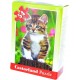 Castorland Puzzle 54 pièces : Mini puzzle : Chaton sur une souche