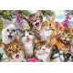 Schmidt Puzzle 500 pièces : Selfie de chats