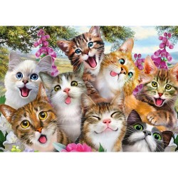 Schmidt Puzzle 500 pièces : Selfie de chats