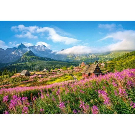 Castorland Puzzle 1000 pièces : Hala Gasienicowa, Tatras, Pologne