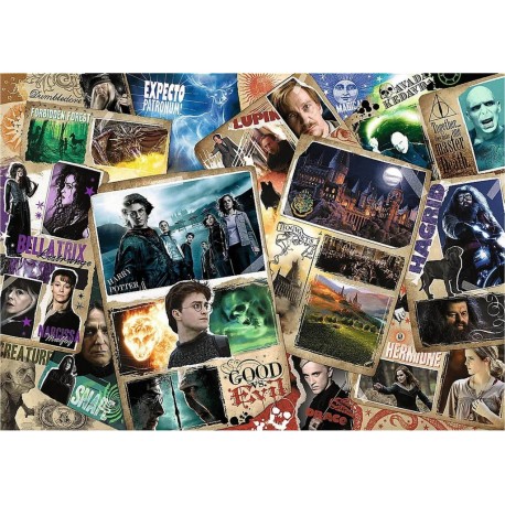 Trefl Puzzle 2000 pièces : Harry Potter : Personnages