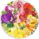 RAVENSBURGER Puzzle Rond 500 pièces : Circle Of Colors : Fruits Et Légumes