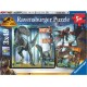 RAVENSBURGER Puzzles T-rex et autres dinosaures 3x49 pieces