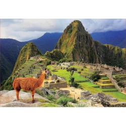 EDUCA Puzzle 1000 pièces : Machu Picchu, Pérou