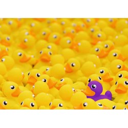 RAVENSBURGER Puzzle 1000 pièces : Challenge puzzle : Canards