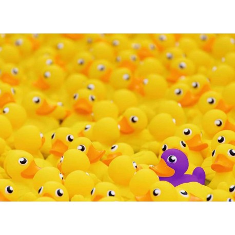 RAVENSBURGER Puzzle 1000 pièces : Challenge puzzle : Canards