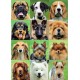 EDUCA Puzzle 500 pièces : Collage chiens