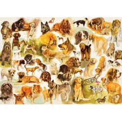 Jumbo Puzzle 1000 pièces : Poster chien