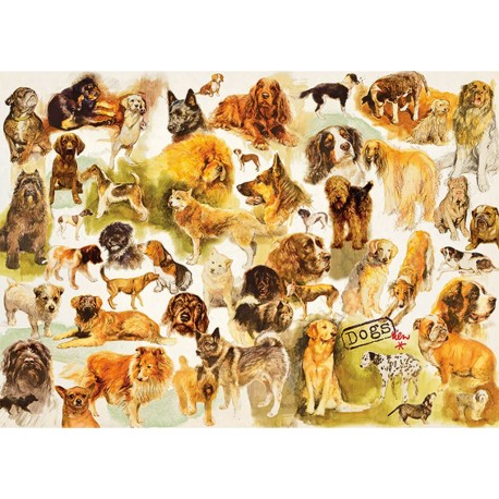 Jumbo Puzzle 1000 pièces : Poster chien