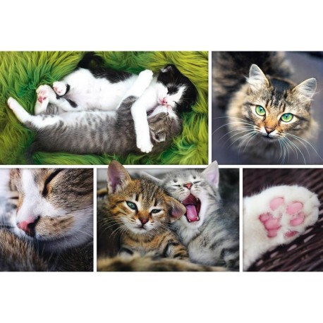 Trefl Puzzle 1500 pièces : Collage Juste des choses de chats