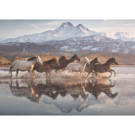 Schmidt Puzzle 1000 pièces : Chevaux en Cappadoce