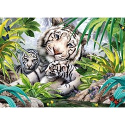 King Puzzles Puzzle 1000 pièces : Tigres blancs