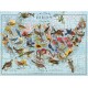 Puzzle 1000 pièces : Oiseaux par Etat, Usa, Wendy Gold