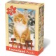 Castorland Puzzle 54 pièces Mini puzzle : Pause hivernale du chaton roux