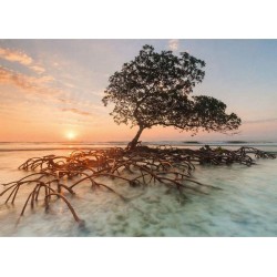 Heye Puzzle 1000 pièces : Mangrove rouge