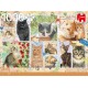 Jumbo Puzzle 1000 pièces : Timbres : Chats