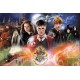 Trefl Puzzle 300 pièces : Harry Potter : Le Secret Harry Potter