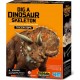 4M - Kidz Labs 4M Kidz Labs Tricératops Déterre ton dinosaure Dig a dino