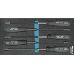 HAZET Jeu de clés à douilles flexibles 163-461/5 HAZET