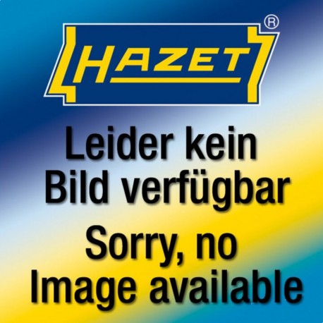 HAZET Support pour lame de scie 9034P-1-013/2 HAZET