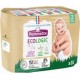 Pommette ECOLOGIC taille 2 poids 3-6Kg x35