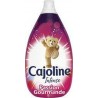 CAJOLINE Intense Passion Gourmande 960ml (lot de 3)