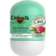 Ushuaïa Déodorant bille Amla & Gingembre 50ml