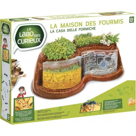 LE LA MAISON DES FOURMIS