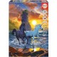 EDUCA PUZZLE 1000 PIECES DES LICORNES SUR LA PLAGE VINCENT HIE