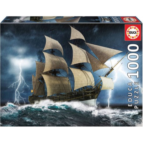 EDUCA PUZZLE ORAGE PARFAIT 1000 PIECES