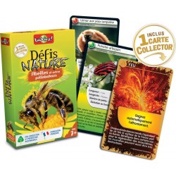 BIOVIVA DEFIS NATURE ABEILLES ET AUTRES POLLINISATEURS