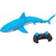 CANENCO REQUIN RADIOCOMMANDE