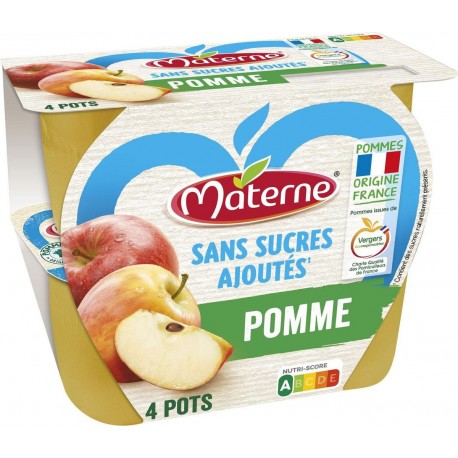 Materne Pomme 4x100g sans sucres ajoutés 400g