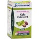 Juvamine Minceur Kilos Superflus Kola Café Vert Vegan (lot de 2)