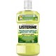 LISTERINE Protection Dents et Gencives THE VERT 500ml