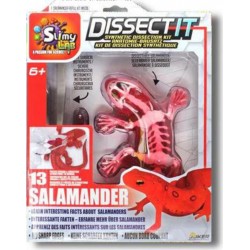 SILVERLIT DISSECT-IT SALAMANDRE SLIME A DISSEQUER