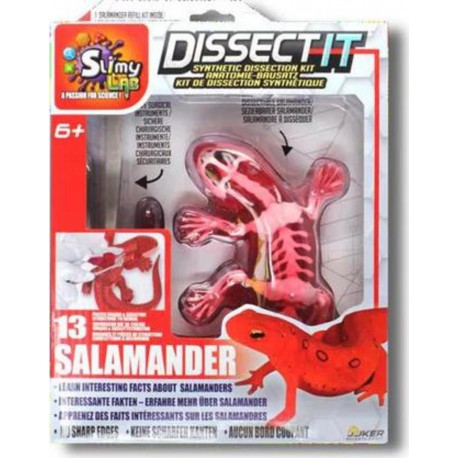 SILVERLIT DISSECT-IT SALAMANDRE SLIME A DISSEQUER