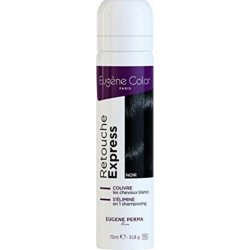 Eugène Color SPRAY RETOUCHES EXPRESS NOIR 75ml