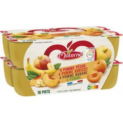 MATERNE PANACHE FRUITS JAUNES 16x100g 1.6Kg
