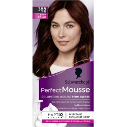 PERFECT MO 388 BRUN ROUGE PERFECT MO kit