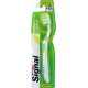 Signal Brosse à Dents Expert Confort Medium x2 l'unité