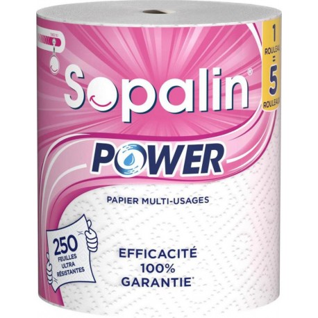 SOPALIN multi-usages POWER x250 feuilles