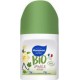 NC MSVN 50ML DEO BIO VANI.FI roll-on 50ml