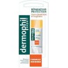 Dermophil Stick Lèvres Réparateur Protecteur Formule Indienne Vanille (lot de 3)