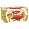 Materne Compotes de Pomme 16x100g 1.6Kg
